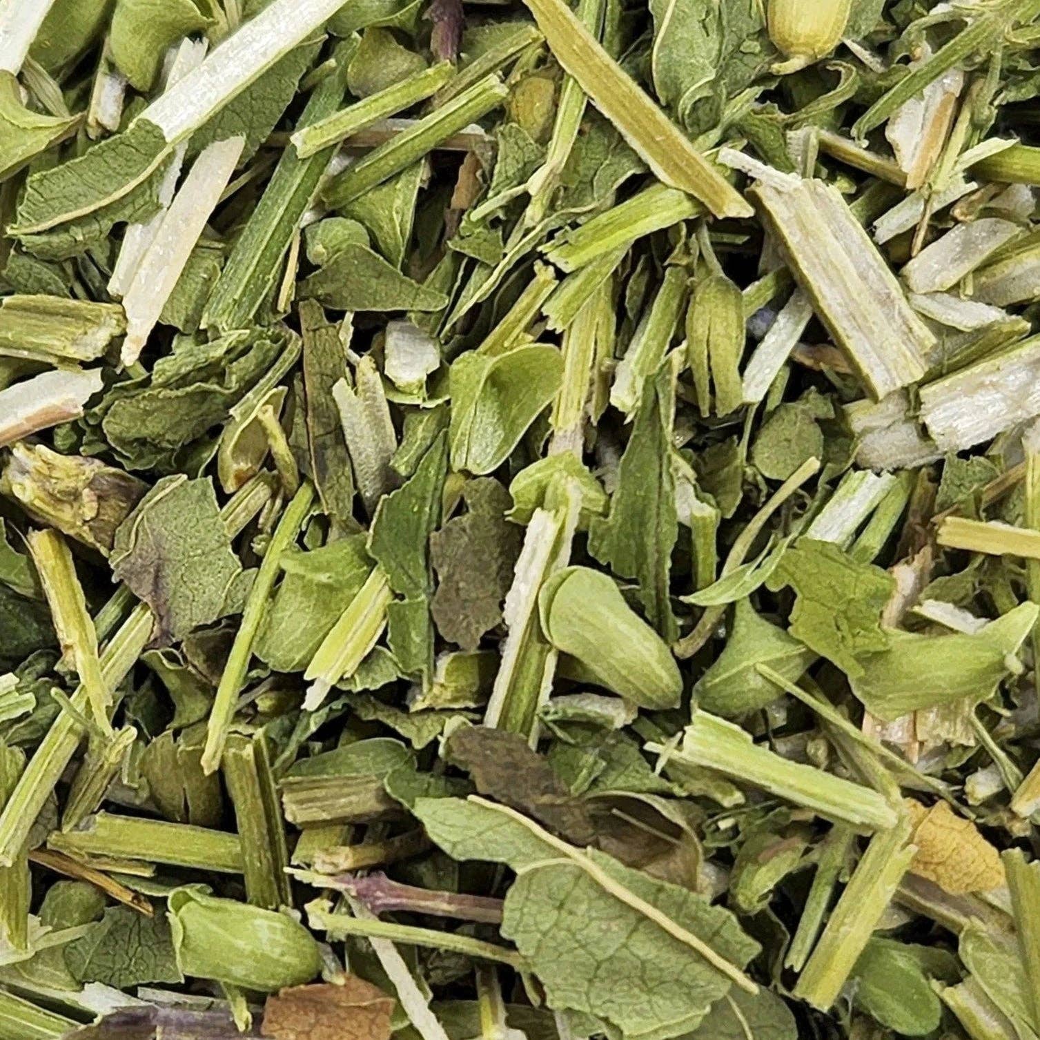 WHOLIFECO – Großhandel Kräuter – Schädelkappen-Kraut - geschnitten & gesiebt - biologisch0