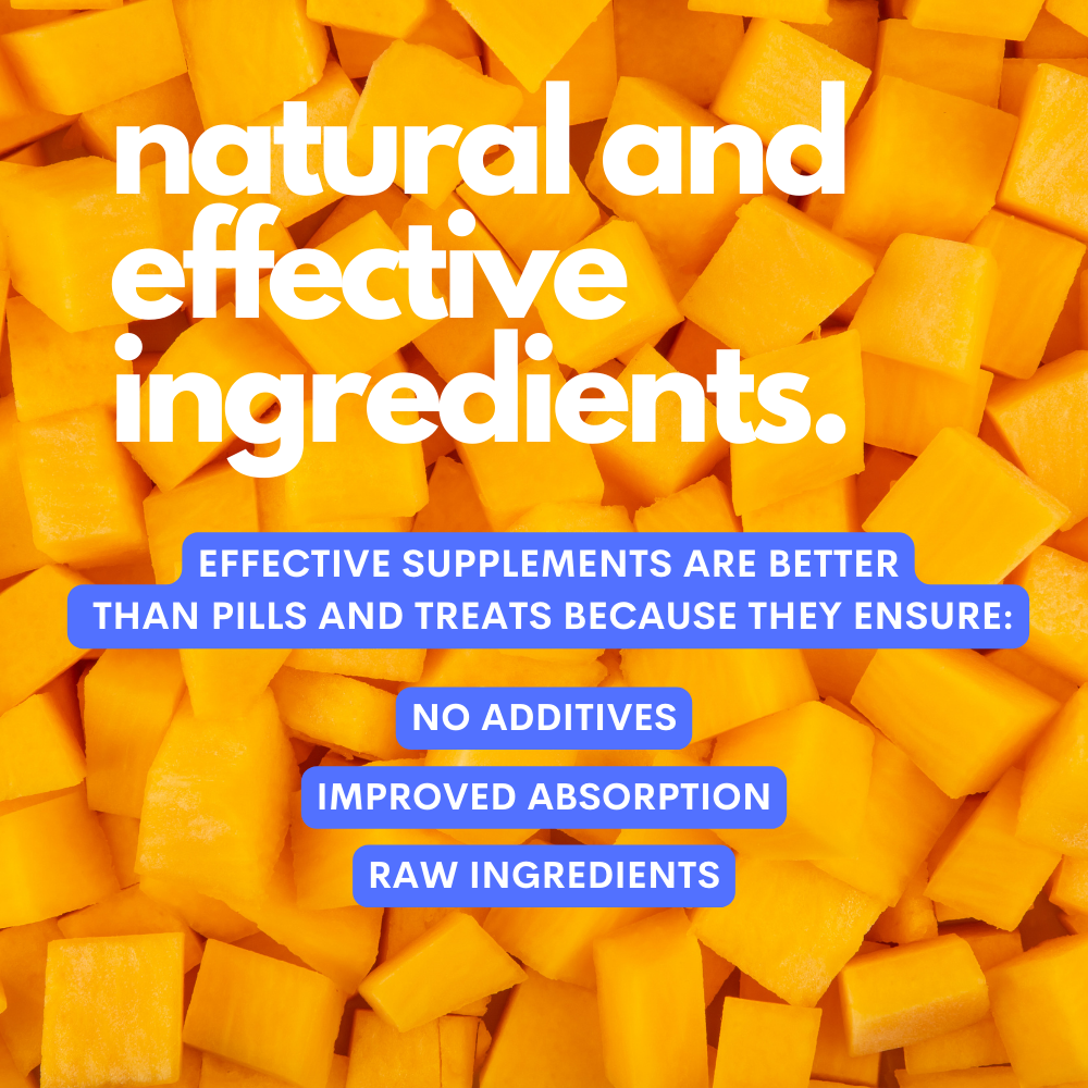 JAMPY - Wholesale Pet Supplement - Cat/Dog - The Super Pro - Dog Probiotic Mix Powder Plant-based 2