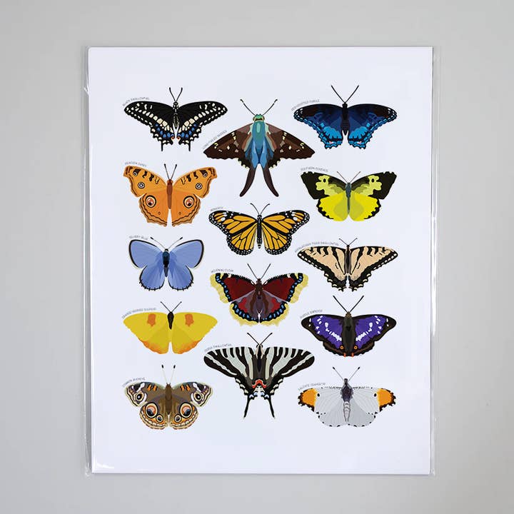 Types de papillons - Impression artistique éducative sur la nature pour la vente par Beehive 95 Designs