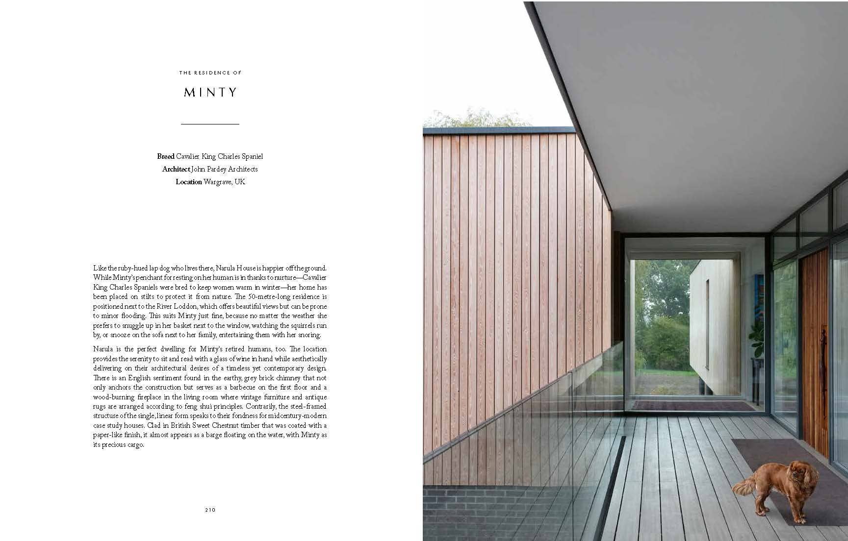 Chronicle Books - Wholesale Pets - Resident Dog (Volume Two)5