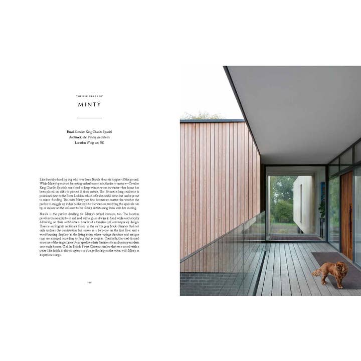 Chronicle Books - Wholesale Pets - Resident Dog (Volume Two)5