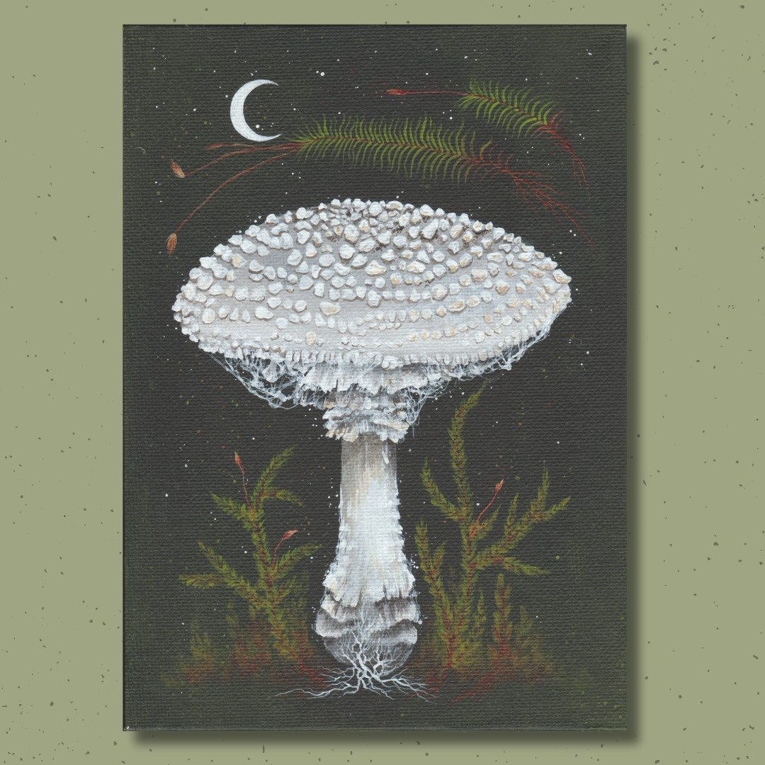 Up Moss Creek Studio - Wholesale Postcard Set - Amanita Mushroom Postcard Set10