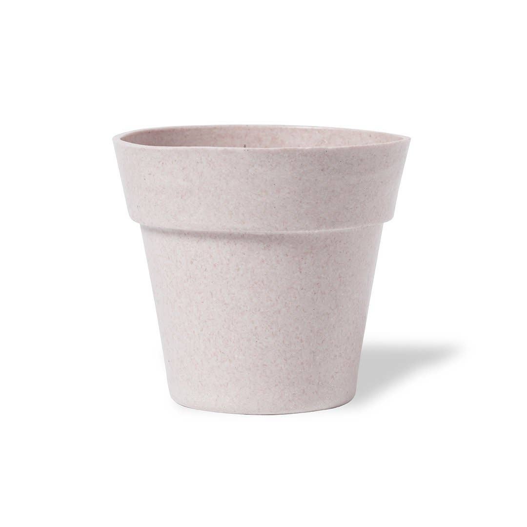 Ekoobou - Vente Graines de plantes - Set de culture tournesol Tumil3