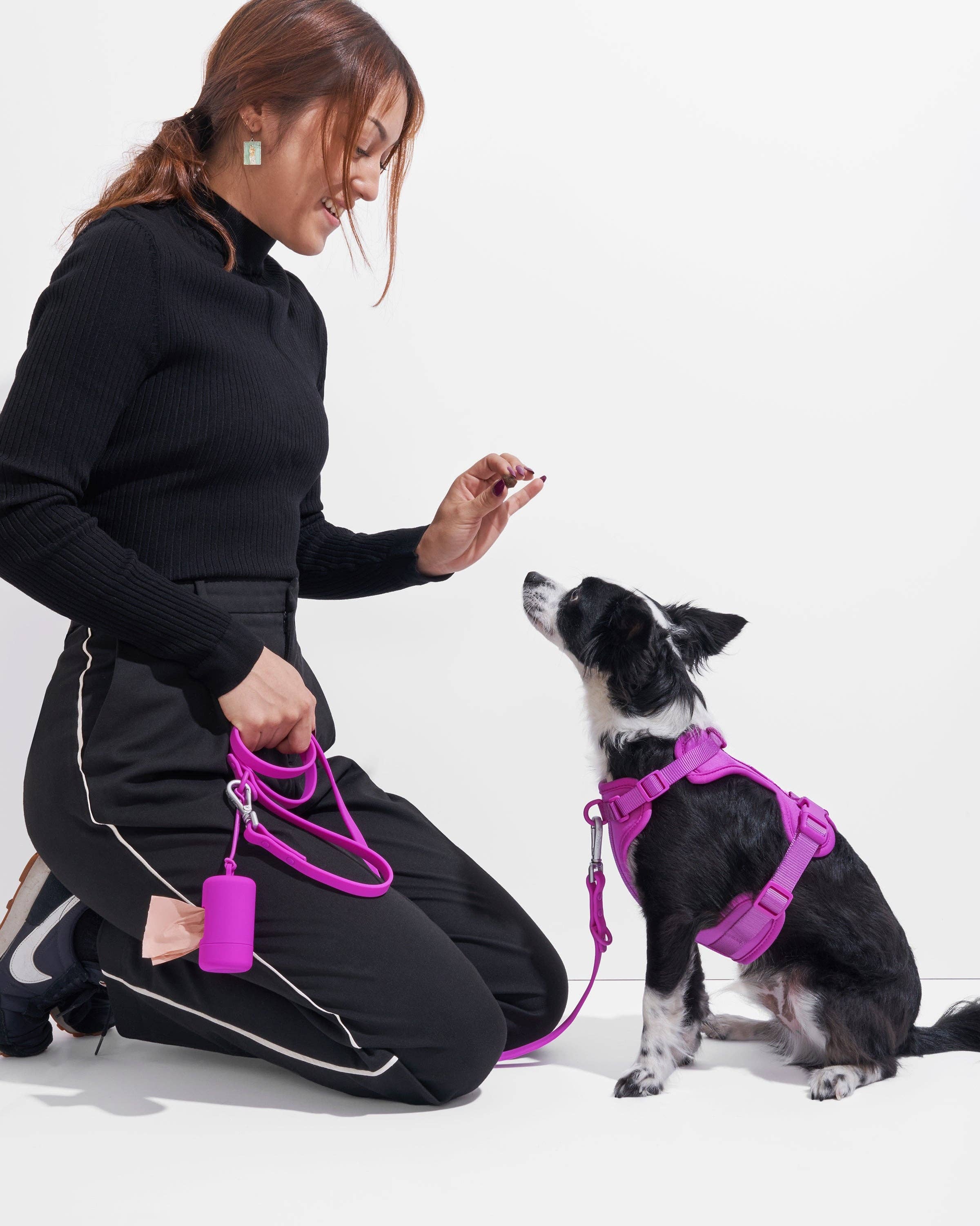 Wild One - Wholesale Pet Harness - Dog - Harness55