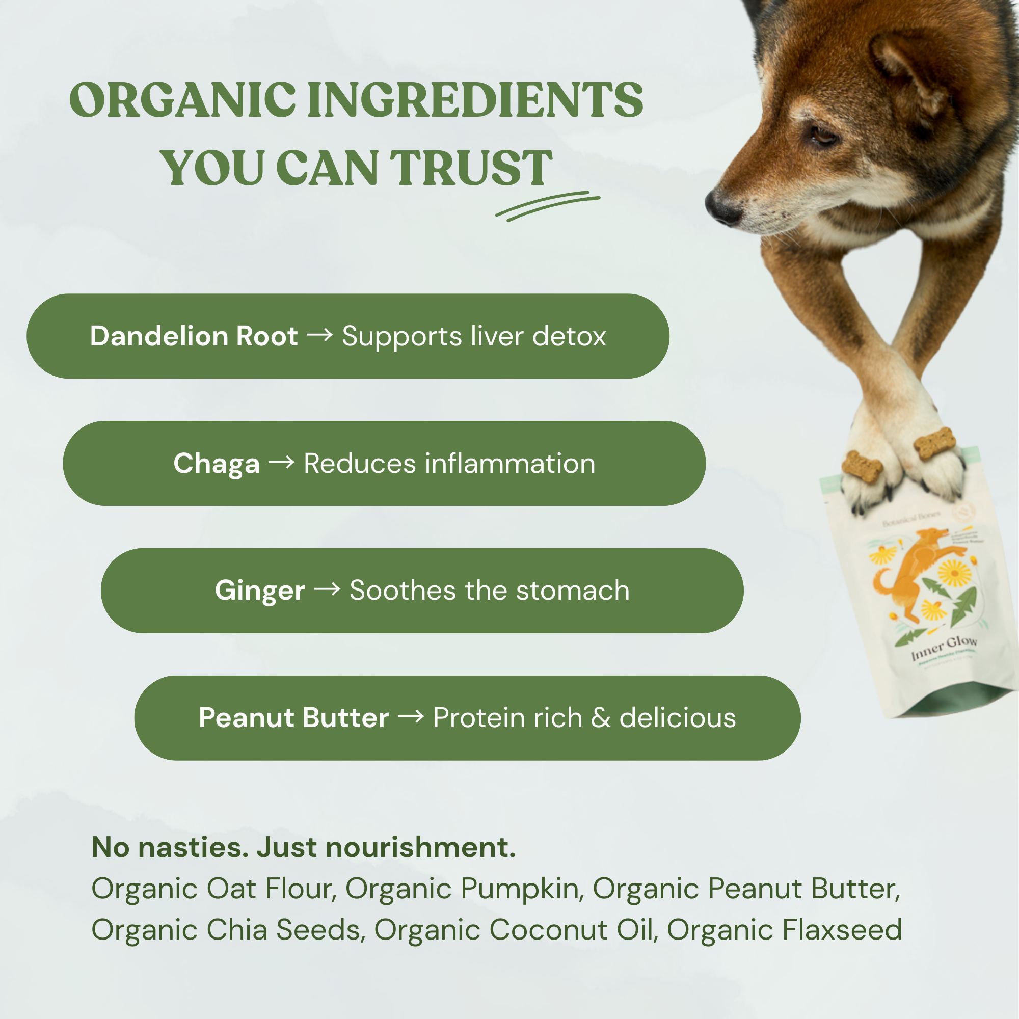 Botanical Bones – wholesale Godis - Hund – Inner Glow Cookies – Naturliga, ekologiska hundgodis4