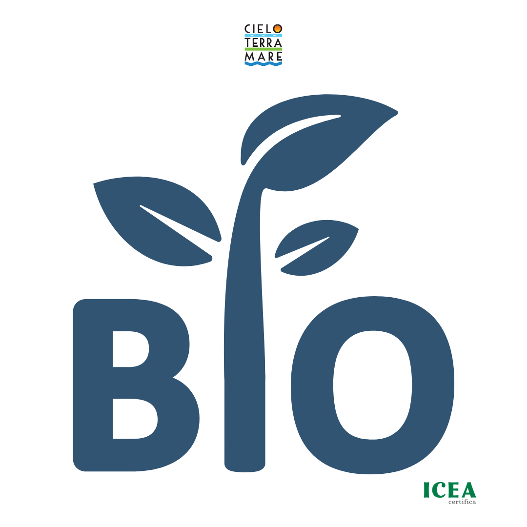 Azienda Agricola Cielo Terra Mare - Wholesale Flour - TIMILIA ORGANIC Wheat FLOUR - stone-ground5