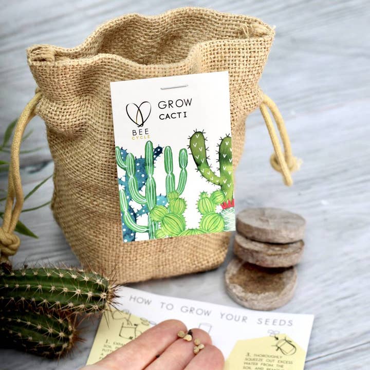 BEEcycle – Großhandel Pflanzensamen – Kaktus-Jute-Pflanzset1