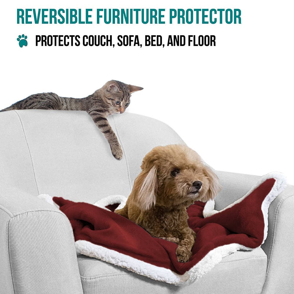 PetAmi - Vente Couverture – chat et chien - Couverture pour animaux en polaire réversible58