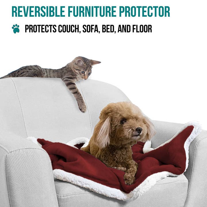 PetAmi - Wholesale Pet blanket – Cat/dog - Waterproof Fleece Pet Blanket62