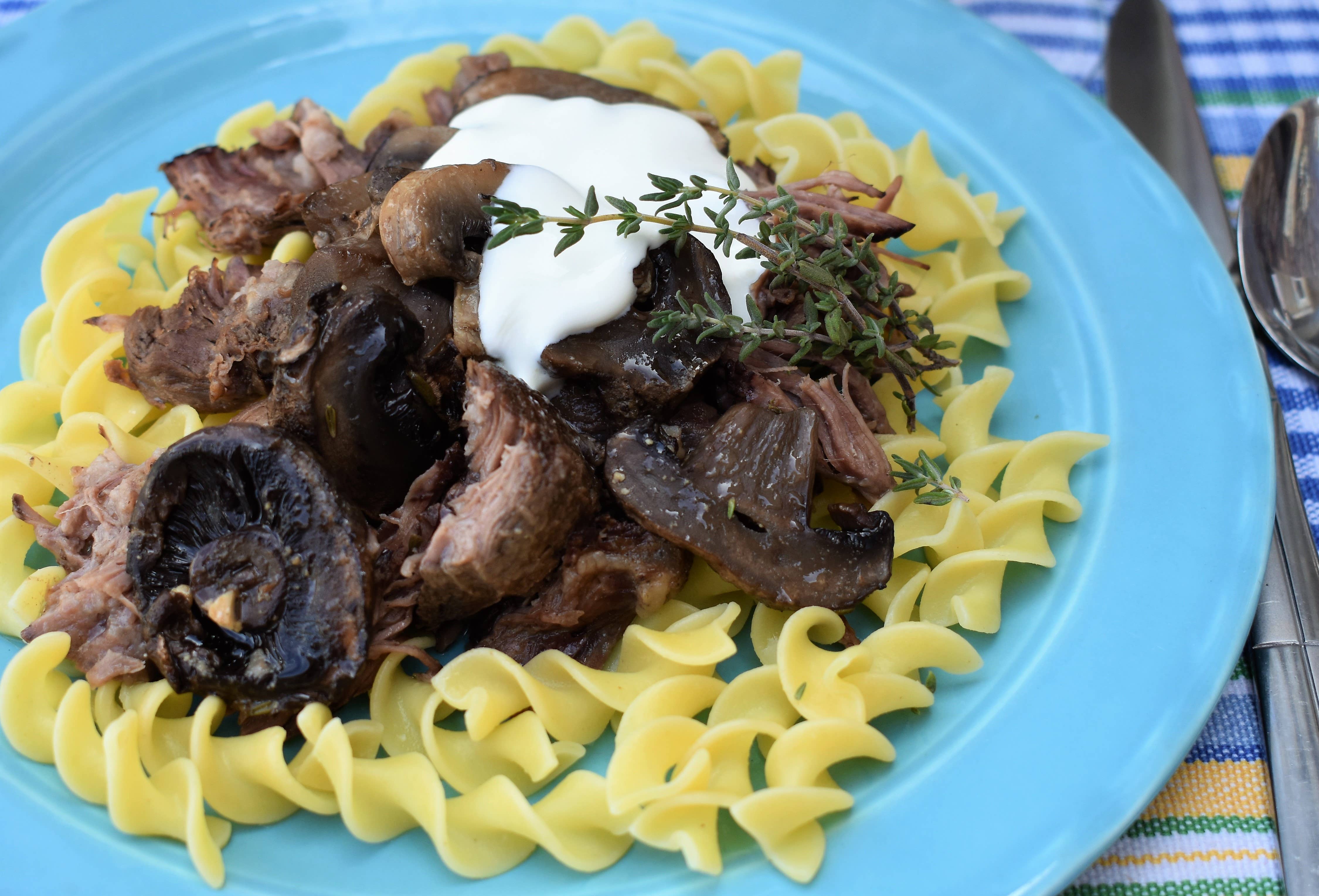 Lemon Poppy Inc. - Wholesale Cookbooks & Food - DISPLAY copy of When Life Gives You a Slow Cooker - ONE only2