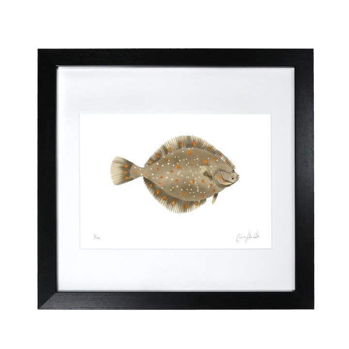 Platessa - Stampa con pesci incorniciati - Bagno o cucina per la vendita all'ingrosso da parte di Corinne Alexander