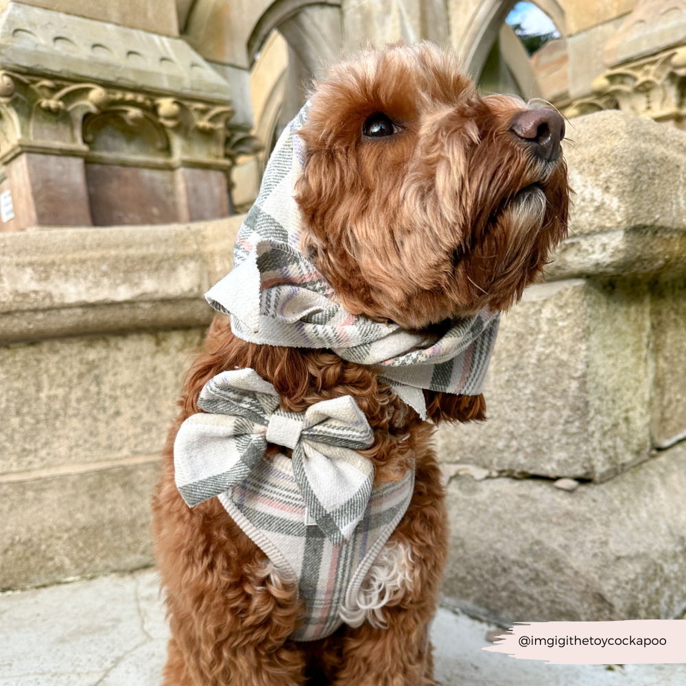 Cocopup London – wholesale Pet bandana – Dog – Spring Plaid Bandana4