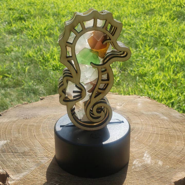Sea Glass Displays - Wholesale Display Case - Seahorse Sea Glass Shadowbox Display 4 Styles Multicolor