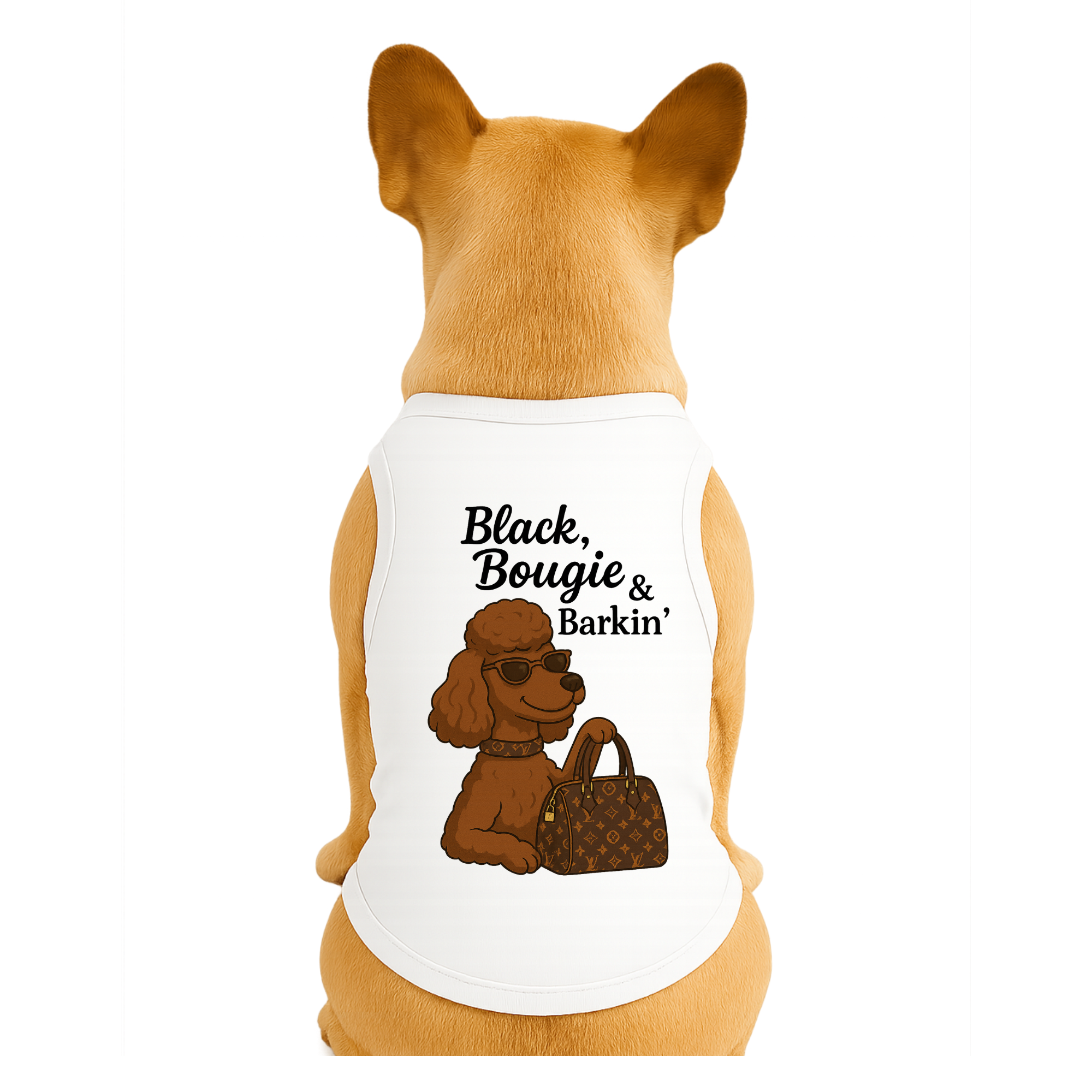 Diva Dog Clothing – wholesale Tröja - Hund – Svart, Bougie & Skällande0