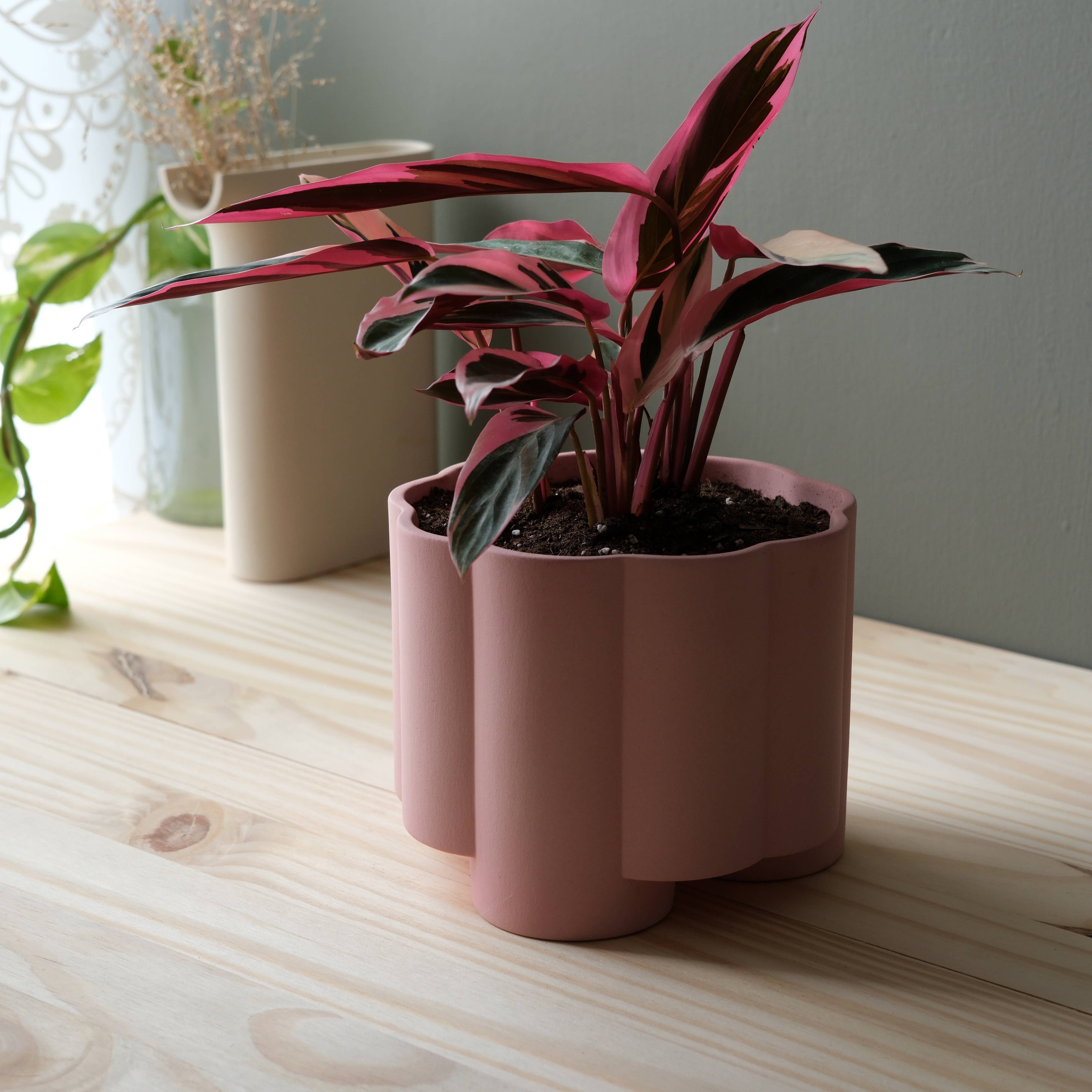 Misewell - Wholesale Plant Pot - Pillar Planter1