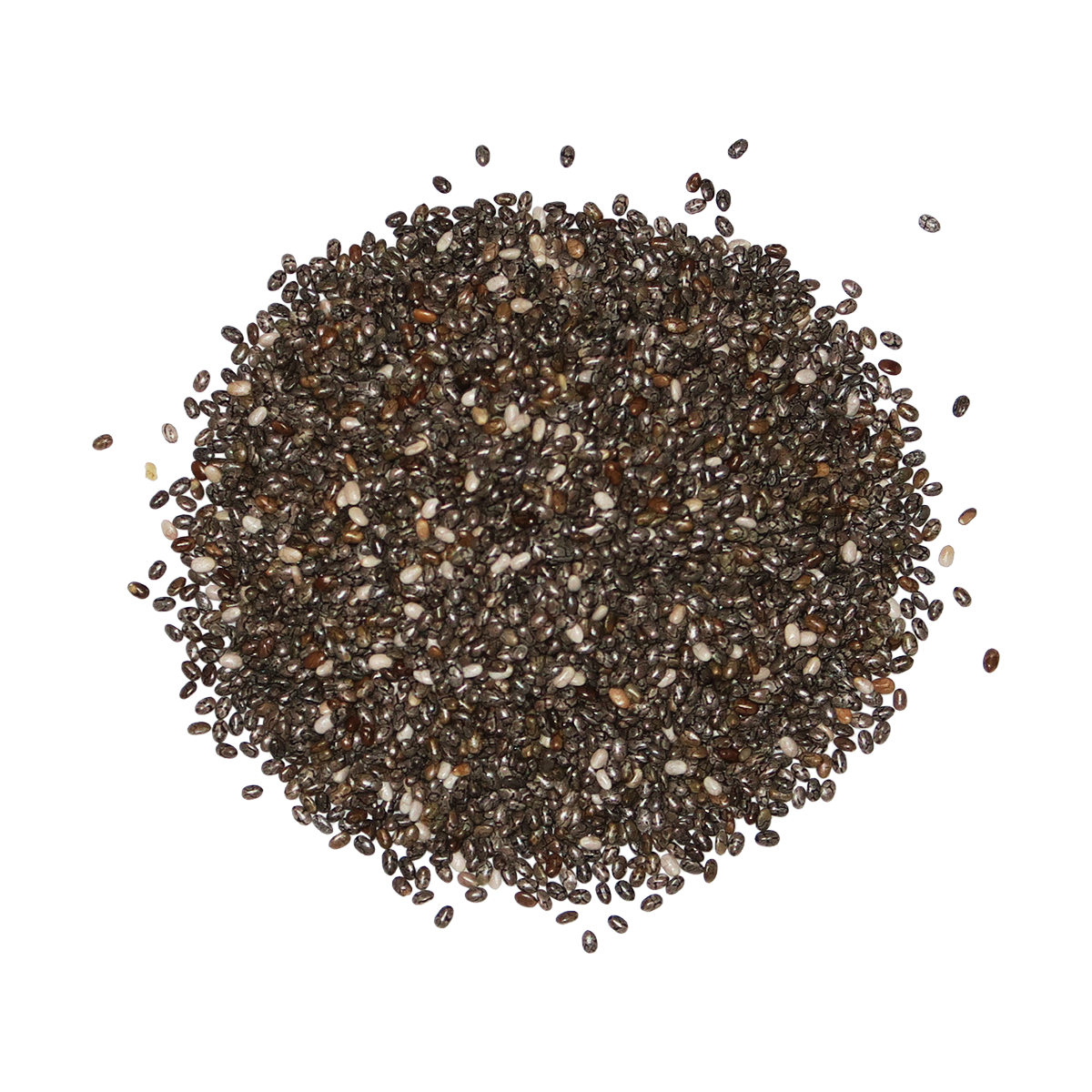 Edison Grainery - Wholesale Plant Seeds - Edison Grainery Organic Black Chia Seeds 16 oz1