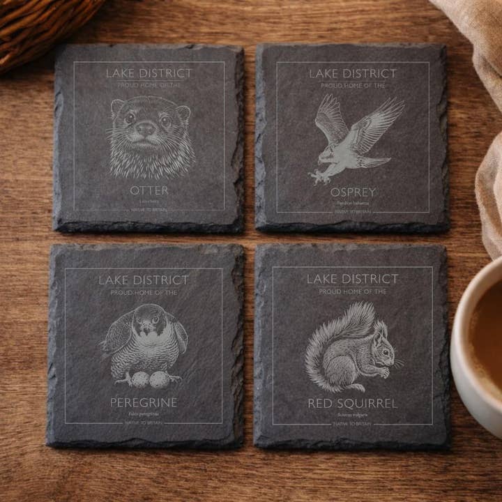 Lake District British Wildlife Slate Coaster Set, Native Birds of Prey & Wildlife Watching Gift, Farmhouse homeware for wholesale by Pause Designs Home