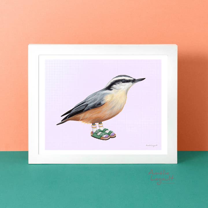 Red-Breasted Nuthatch wearing shoes Art Print for wholesale by Sardines Studio
