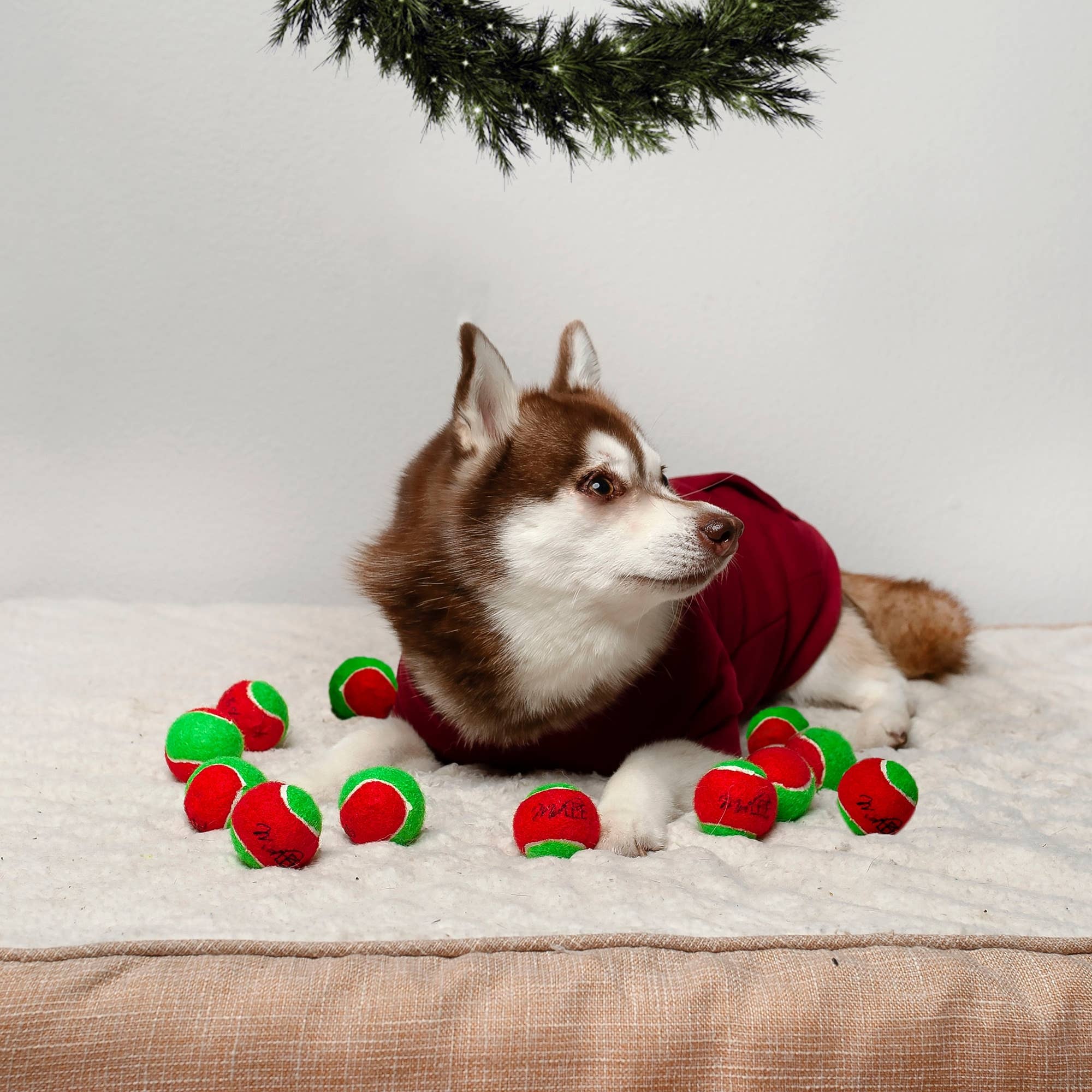 Midlee Designs - Wholesale Pet Fetch Ball - Dog - Midlee Merry Christmas Dog Tennis Balls7