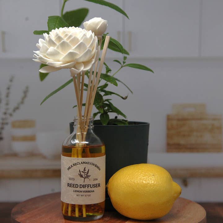 Milk Reclamation Barn - Wholesale Reed Diffuser - Reed Diffuser with Rattan Reeds and Sola Flowers6