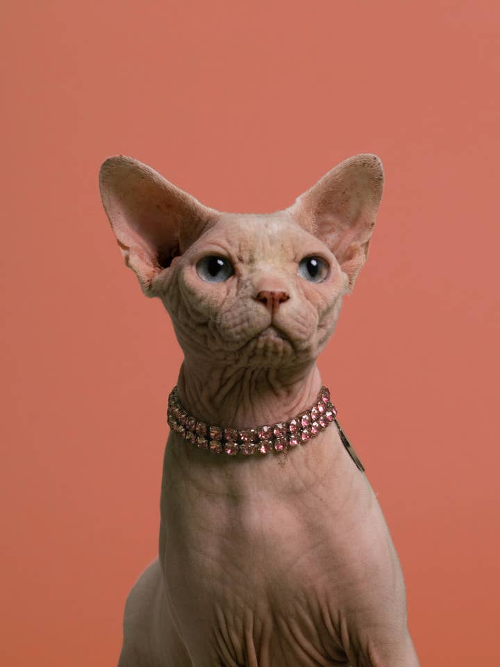 ZWEIREIHIGE HALSKETTE MIT ROSA DIAMANTKRISTALLEN für den Großhandel von BAND OF HEARTBREAKERS