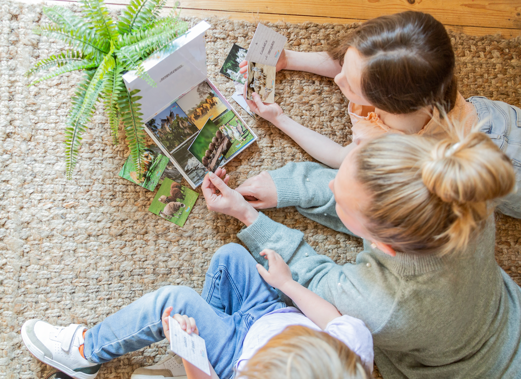 Teddo Play – Großhandel Lernkarten – Kind & Baby – Multi-Bundle mit 13 Lernsets Lernspiele für Kinder32