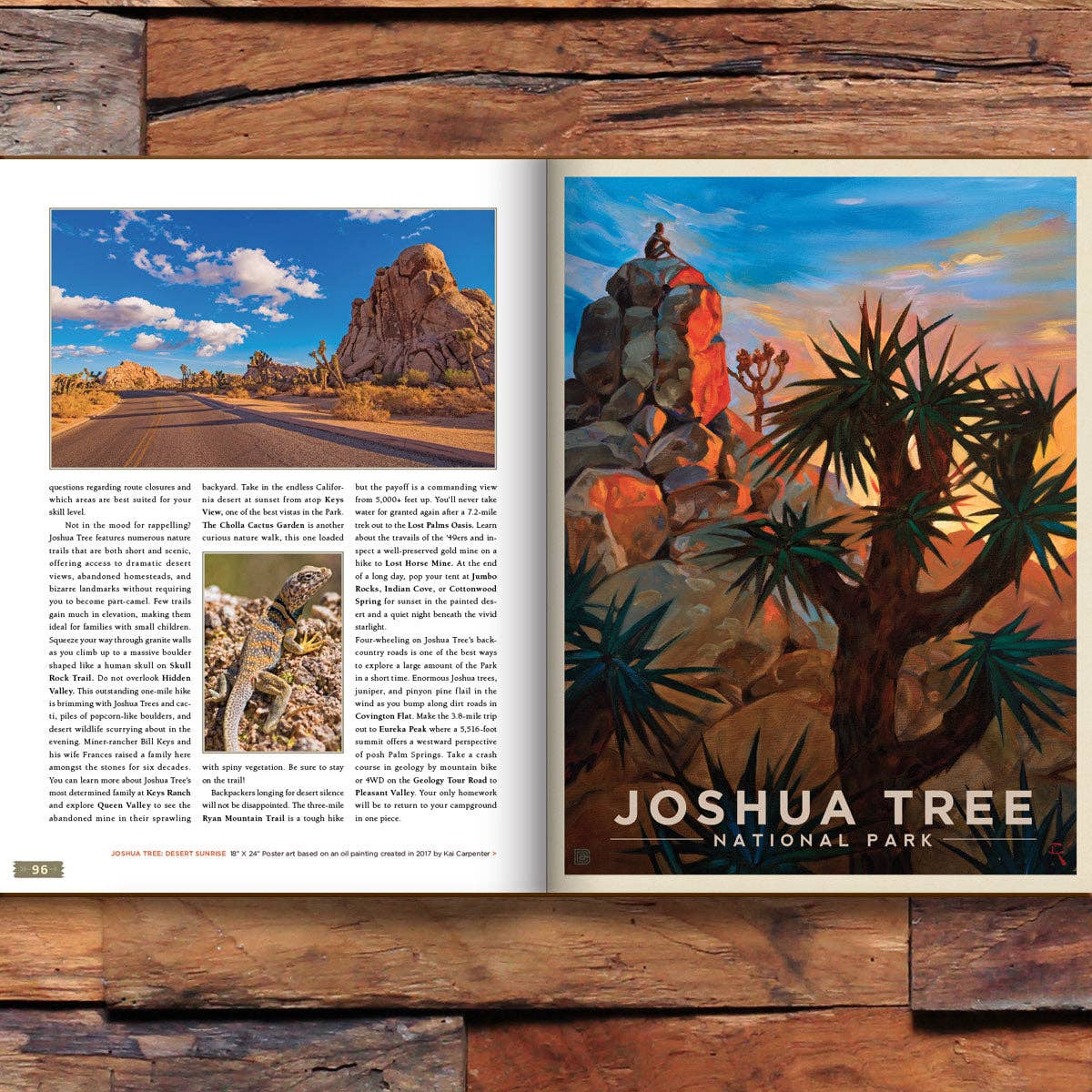 Anderson Design Group - Wholesale Display Book - 63 National Parks: Updated Edition HARD COVER Coffee Table Book (Best Seller!)8