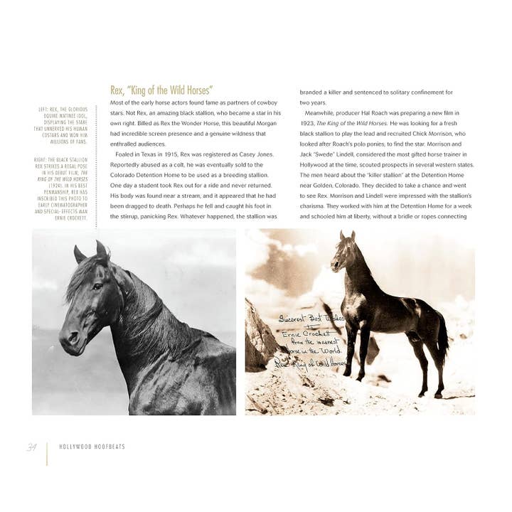 Fox Chapel Publishing - Wholesale Pets - Hollywood Hoofbeats - The Story of Horses in Movies and TV1