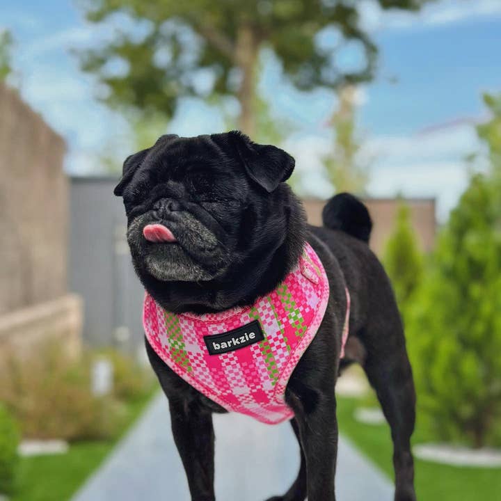 barkzie - Wholesale Pet Harness - Dog - Harness - Santa Monica