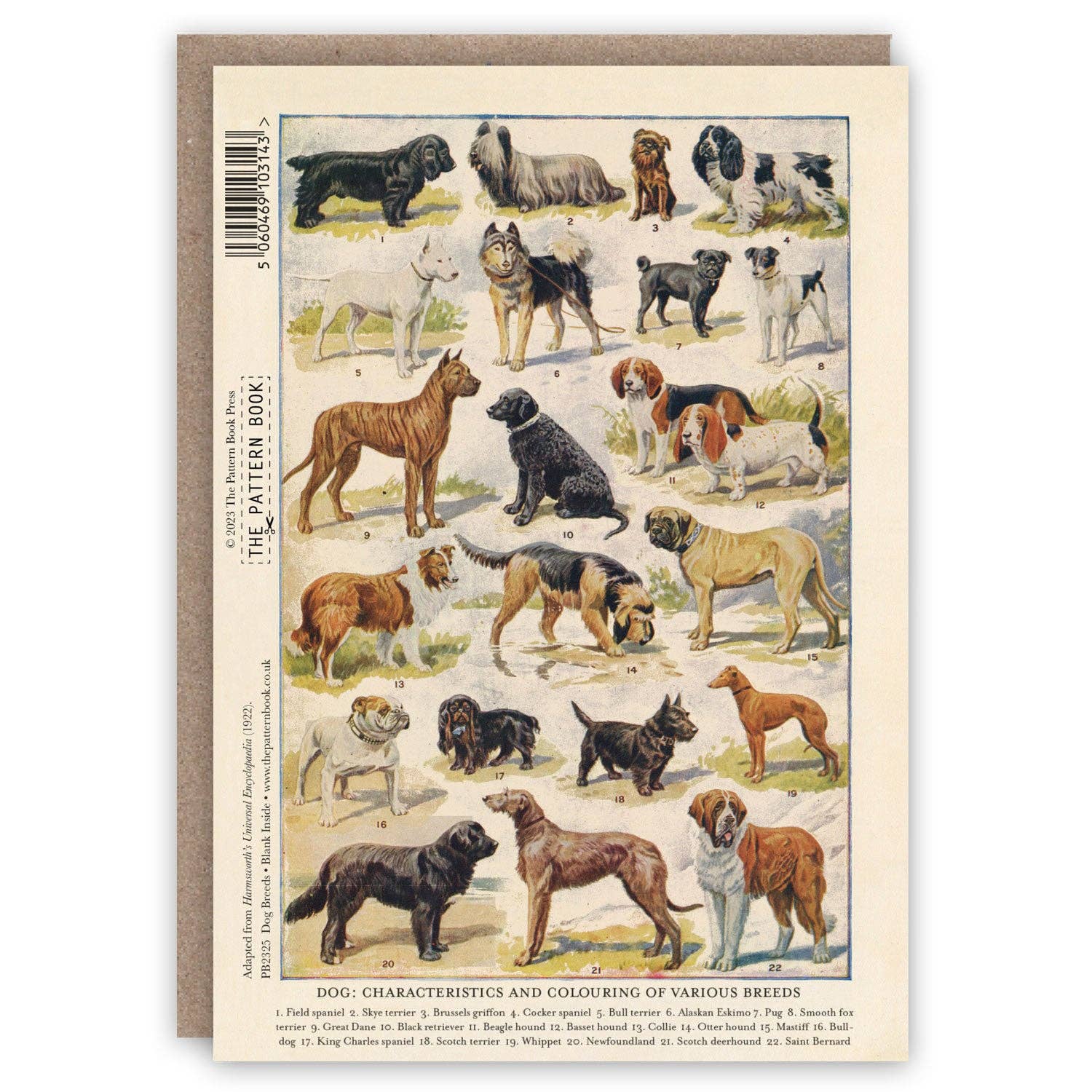 The Pattern Book - Wholesale Everyday Greeting Card - Dog Breeds1