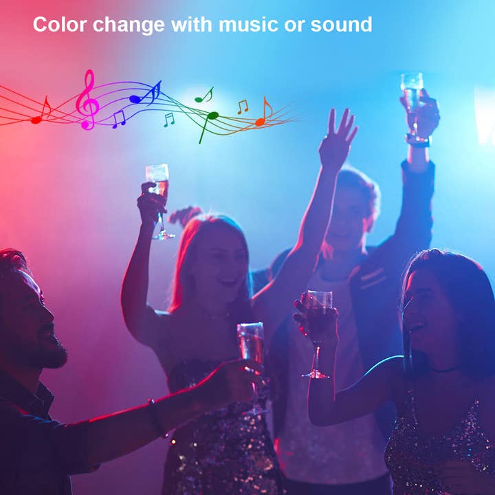 Wittbizz Snacks - Wholesale String Lights - RGB LED Strip Lights 100ft - Remote & App Control, Music Sync, Waterproof, DIY7