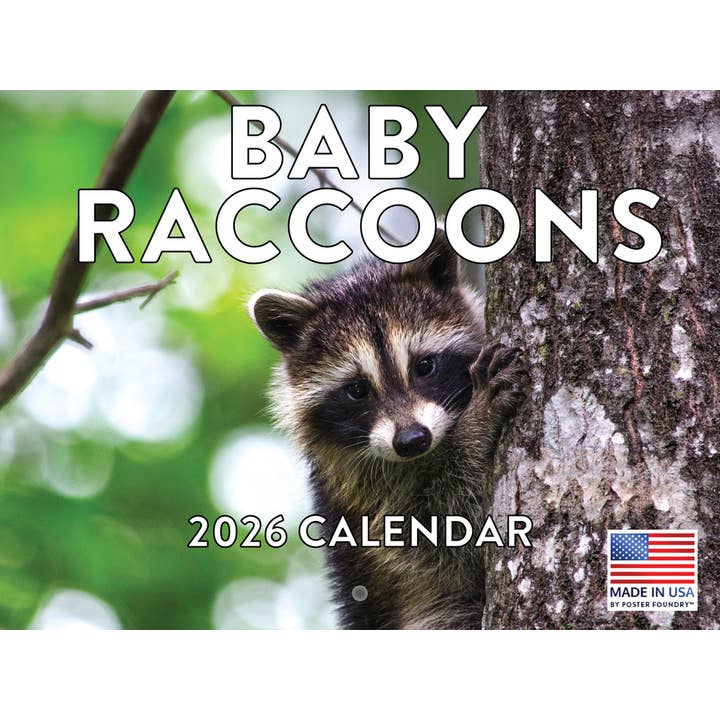 Baby Raccoon Calendar 2026 Monthly Wall Calender 12 Month | American Made In The USA for wholesale by 2026 Calendars