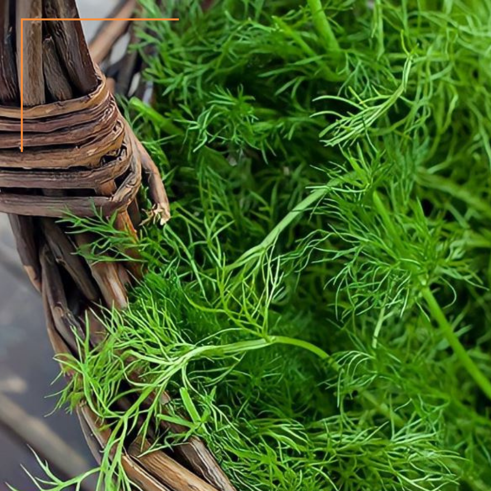 Antica Bottega Siciliana – wholesale Pesto – Wild fennel pesto - 90 g5