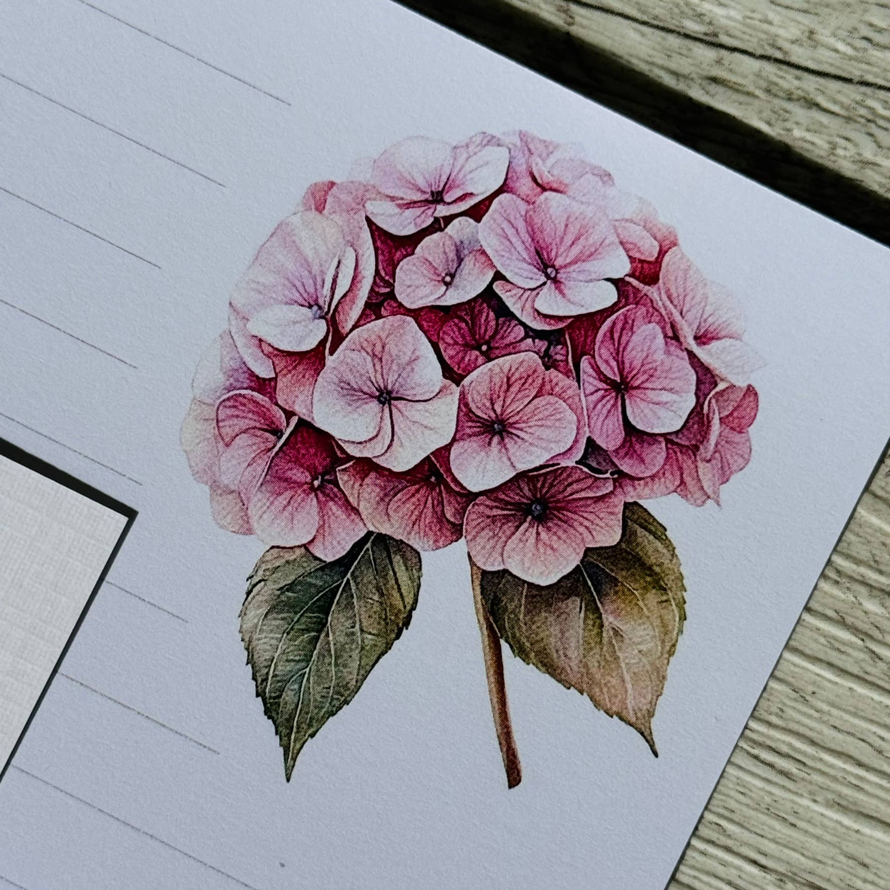 Scattered Seed Co - Vente Assortiments de papeterie/cartes - Ensemble de papier à lettres FLEURS ROSES3