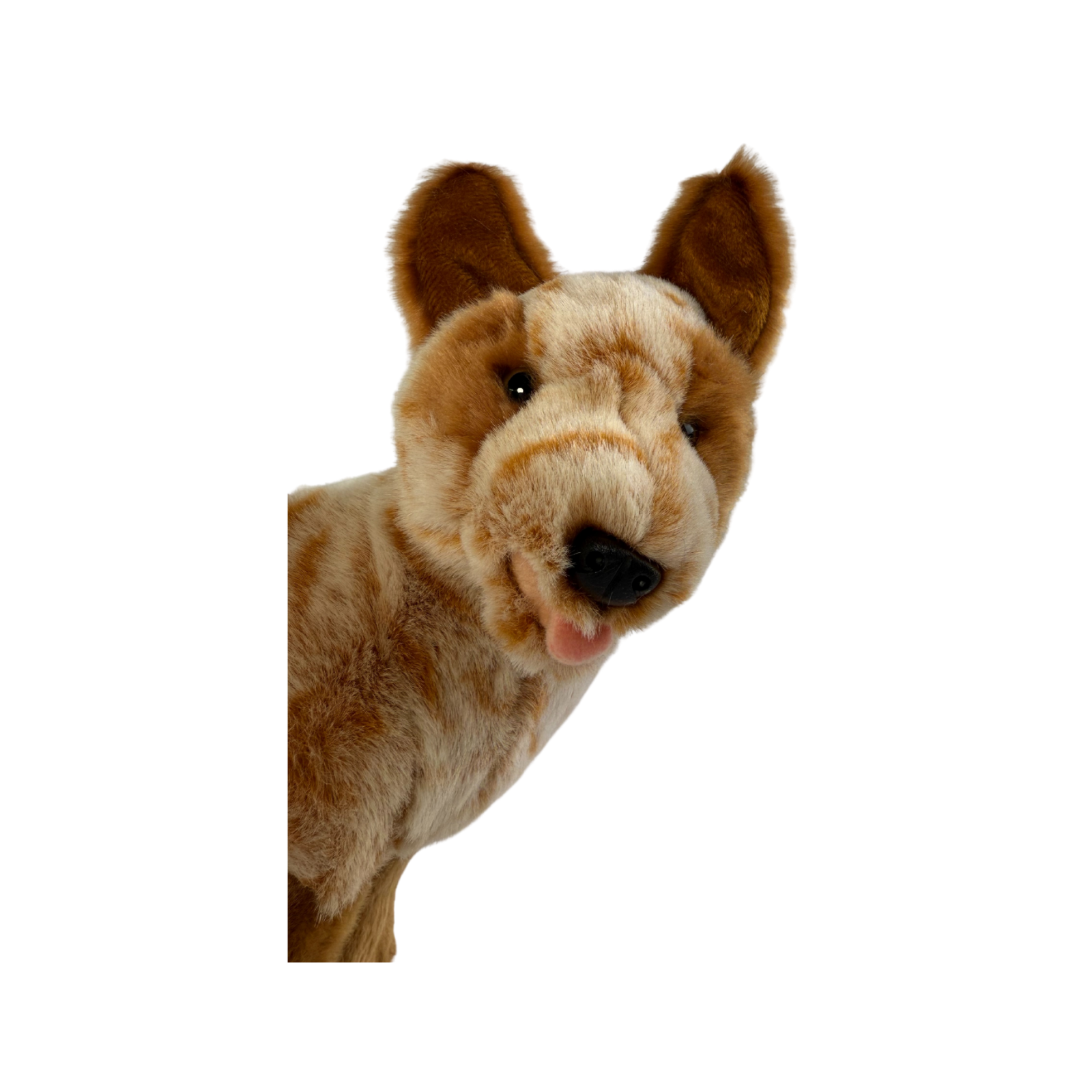 Bocchetta Plush Toys – wholesale Fyllda/plyschleksaker - Barn och baby – Blaze - Boskapsvallare - 22 cm sittande, röd5