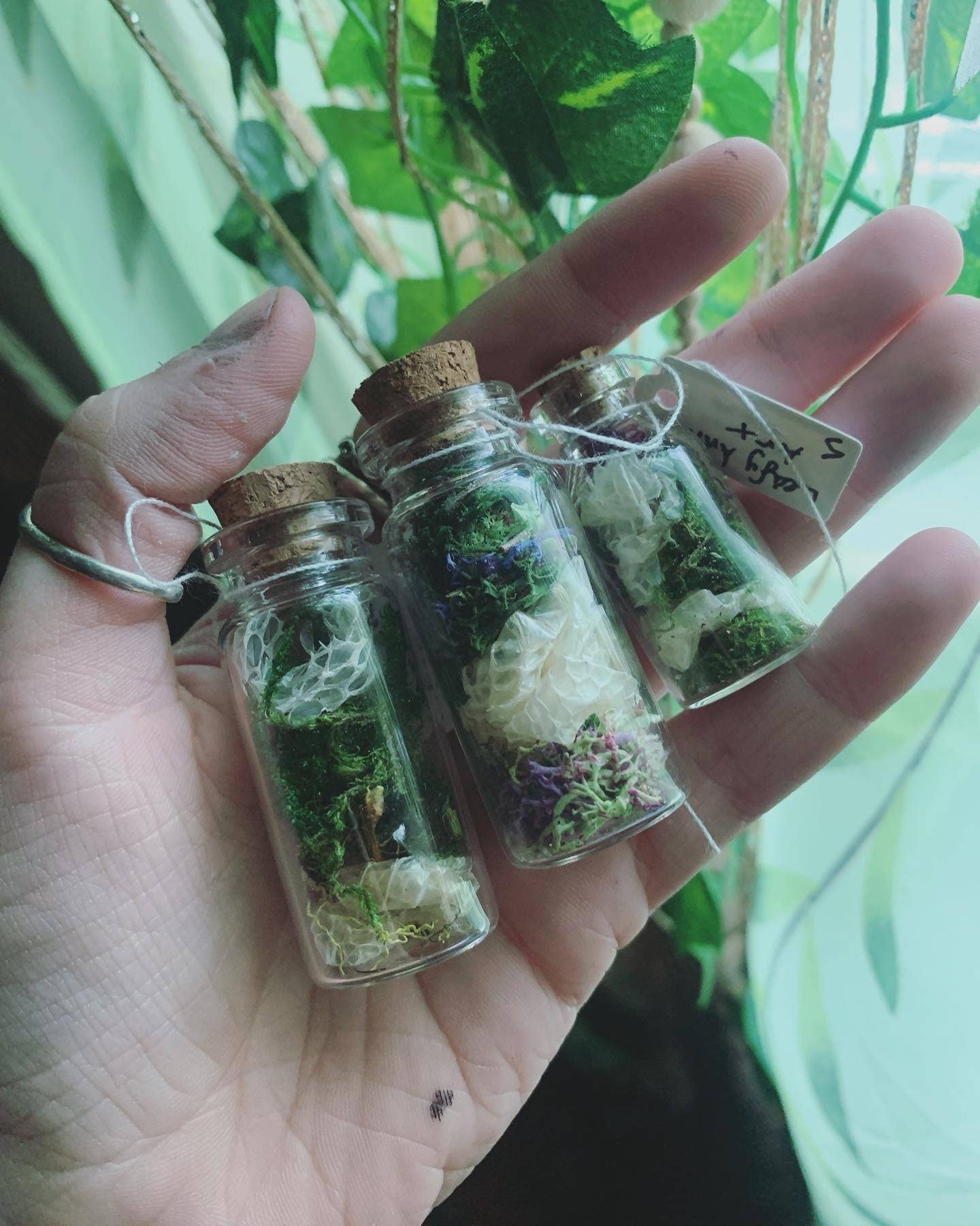 Leafy Ann Art – Engroshandel Apotekerkrukke – Håndlavet apotekerkrukke med slangeskind og mos7