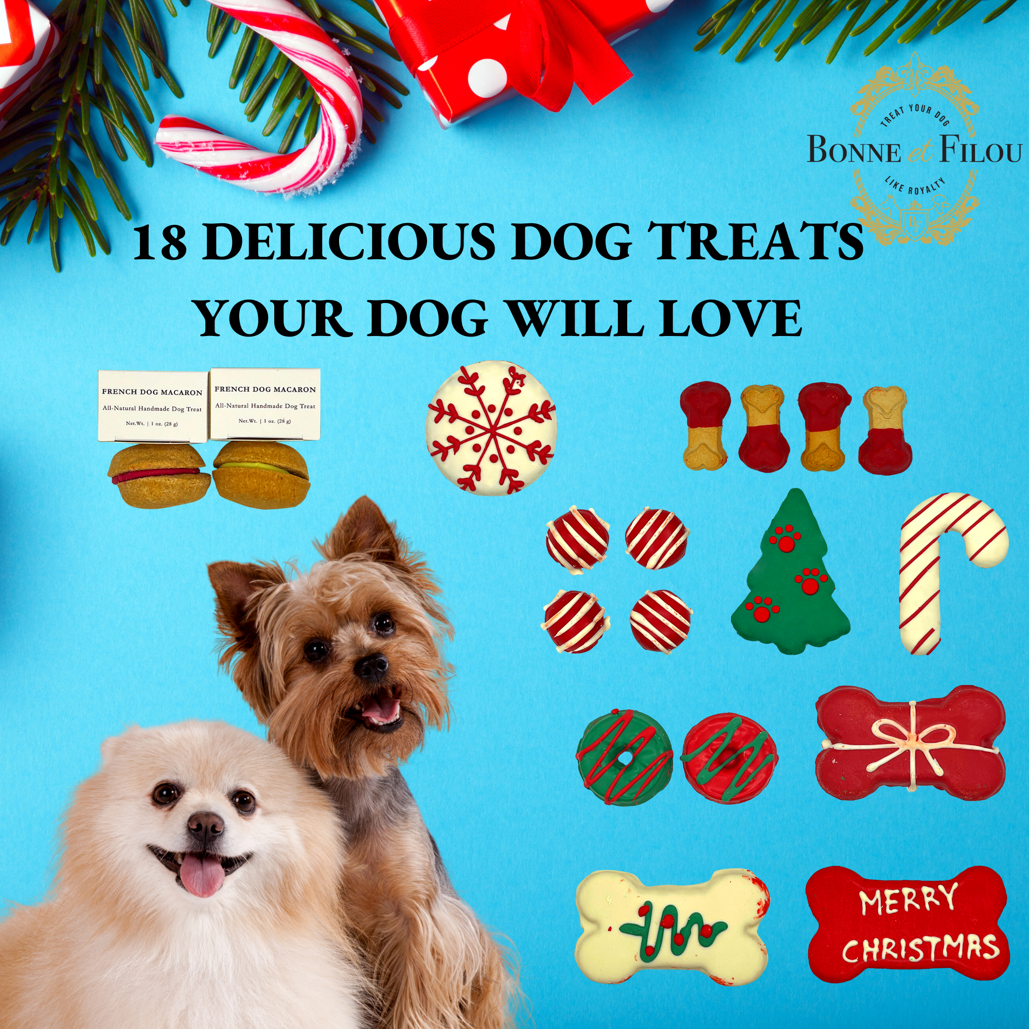 Bonne et Filou - Wholesale Pet Treats - Dog - Christmas Dog Treats Box | Holiday Unique Themed Gift Box4