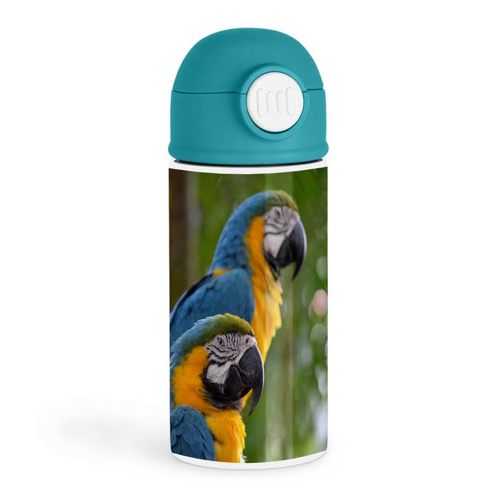 3dRose - Wholesale Water bottle - 3dRose, two macaw front focused c bird, Kids Water Bottle