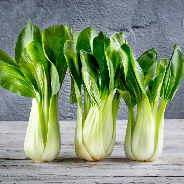 The Rike - Wholesale Plant Seeds - Green Bok Choy Seeds pok choy 2 pack x1500 Seeds