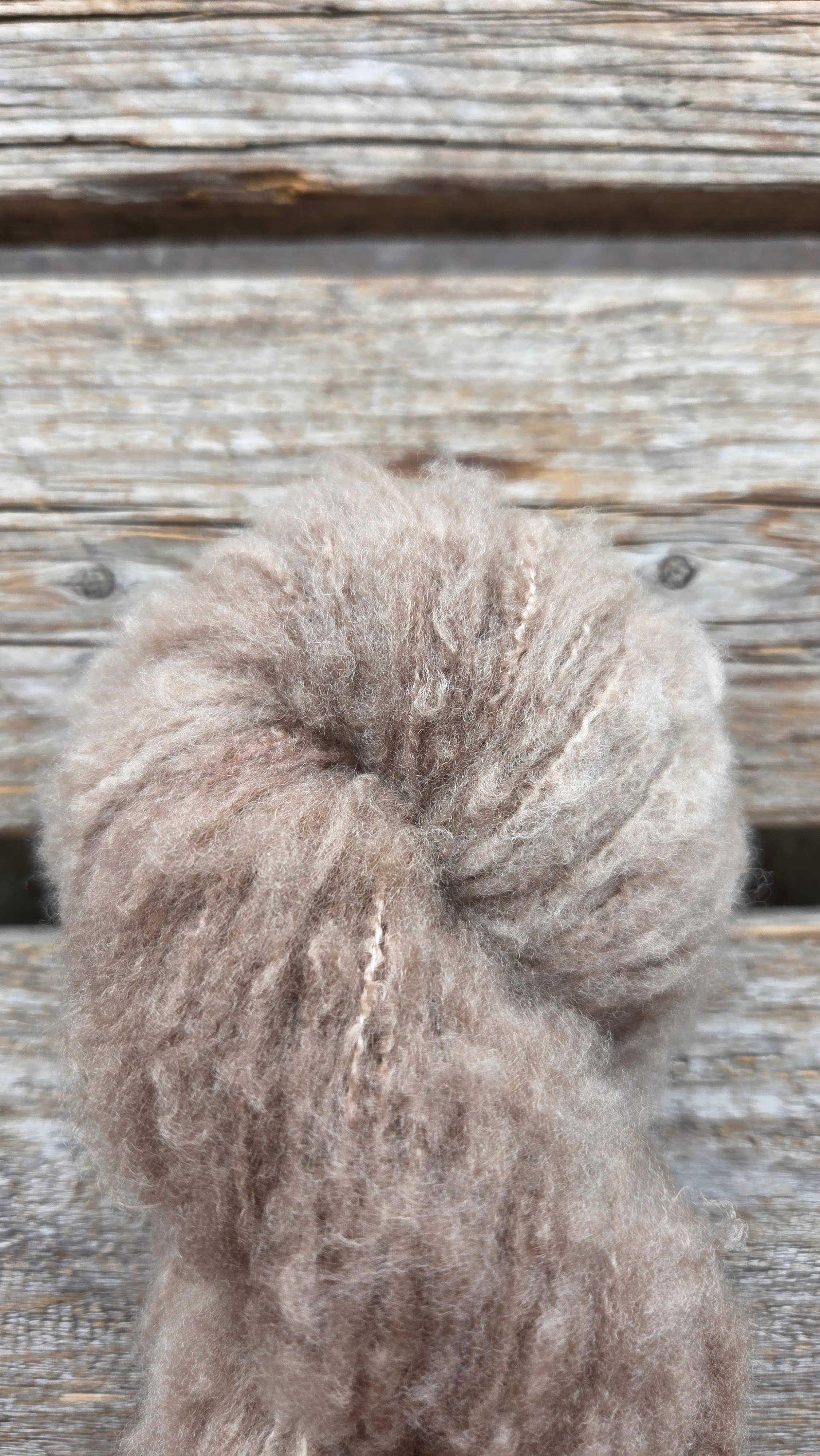 Koigu Wool Designs – wholesale Garn – Andra - Extra-fin Borstad Merinoullgarn1