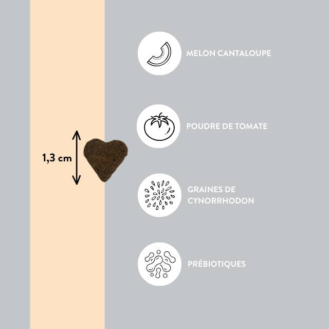 Hello Jack - Wholesale Pet Supplement - Dog - Senior - Vitality supplements for senior dogs5