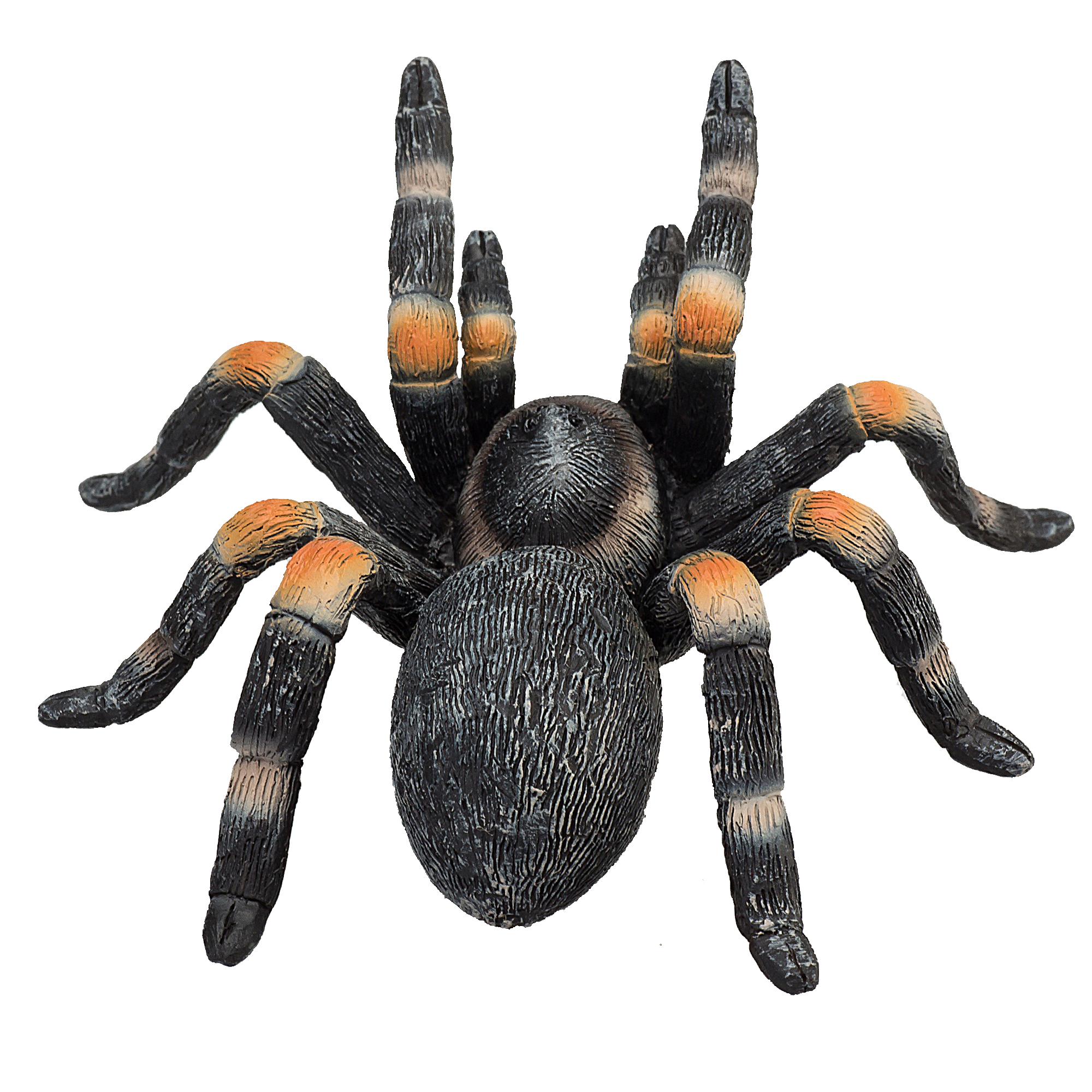 Mojo - Wholesale Figurine Toy - Kids - Mojo Red Kneed Tarantula Animal Figurine1
