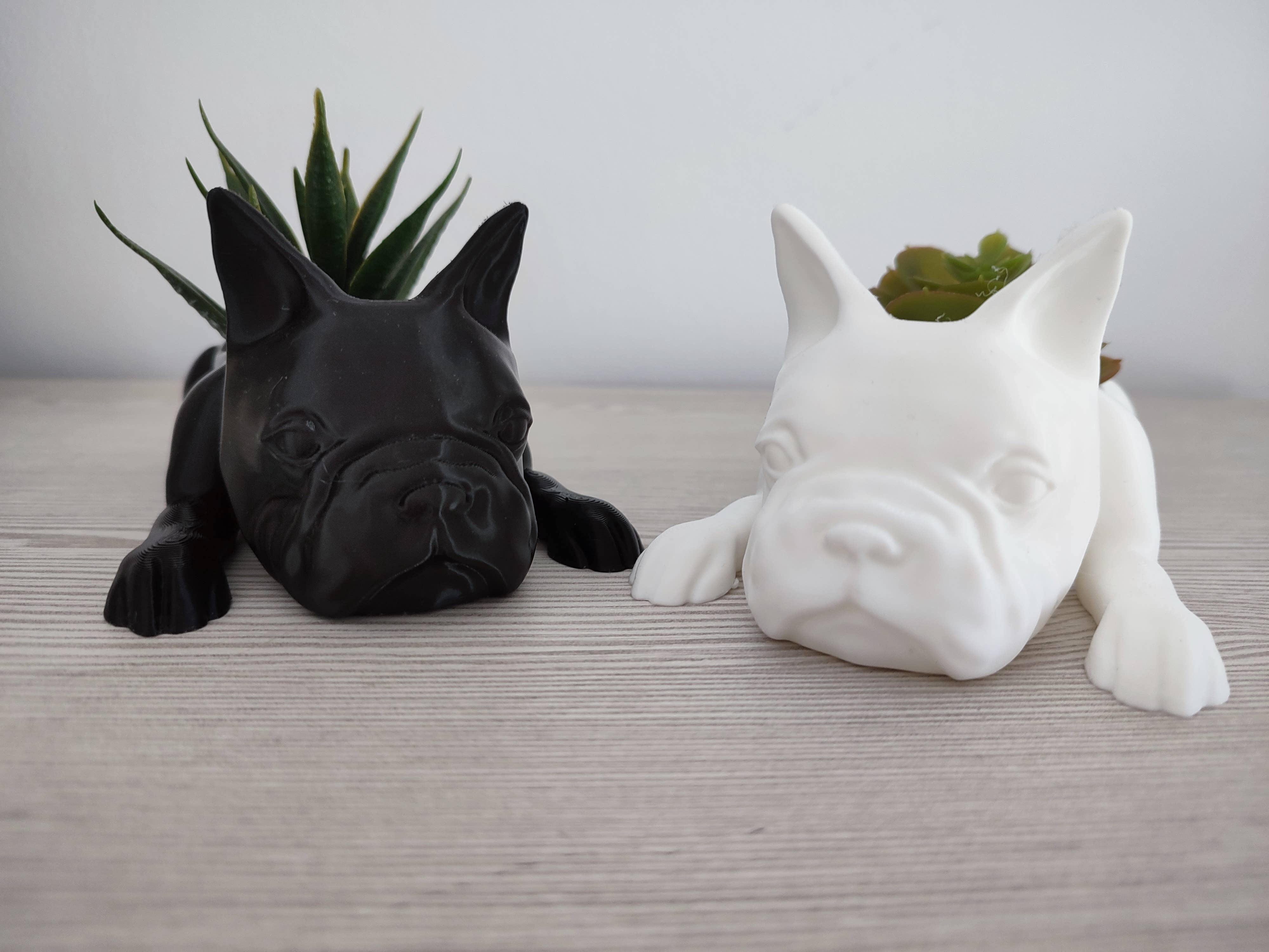 3DROOTS – Engroshandel Plantekrukke – Fransk Bulldog Krukke til Planter – boligindretning6