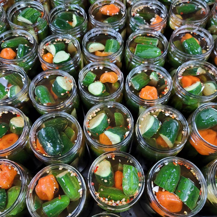 Kilhaney's Pickles - Wholesale Pickled vegetables - Spicy Garlic Dill 16oz2