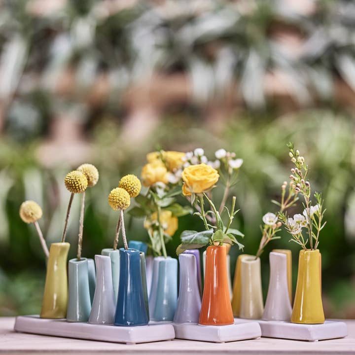 Chive - Wholesale Vase - Pooley Ceramic Bud Vase, 24 + 2pc Kits