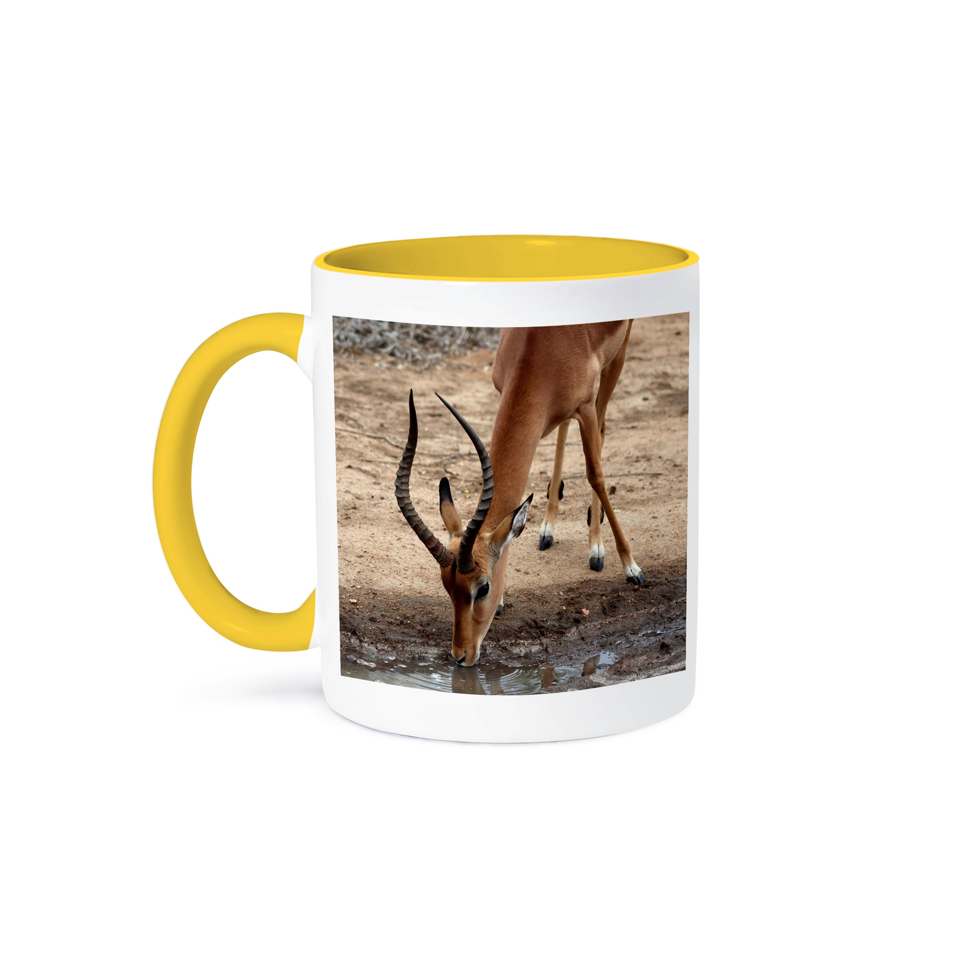 3dRose - Vente Tasse à café - 3dRose, Élégante Impala Buvant de l'Eau Vue de Face, Tasse0