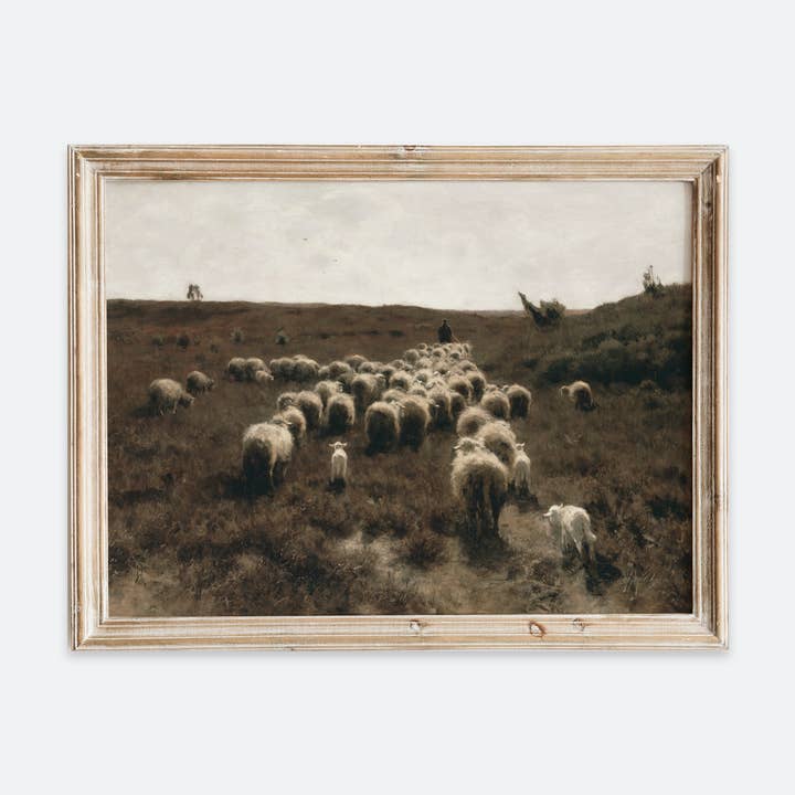 Stampa artistica europea di ritratto di animali di pecora d'epoca VP99 per la vendita all'ingrosso da parte di Sugar & Canvas