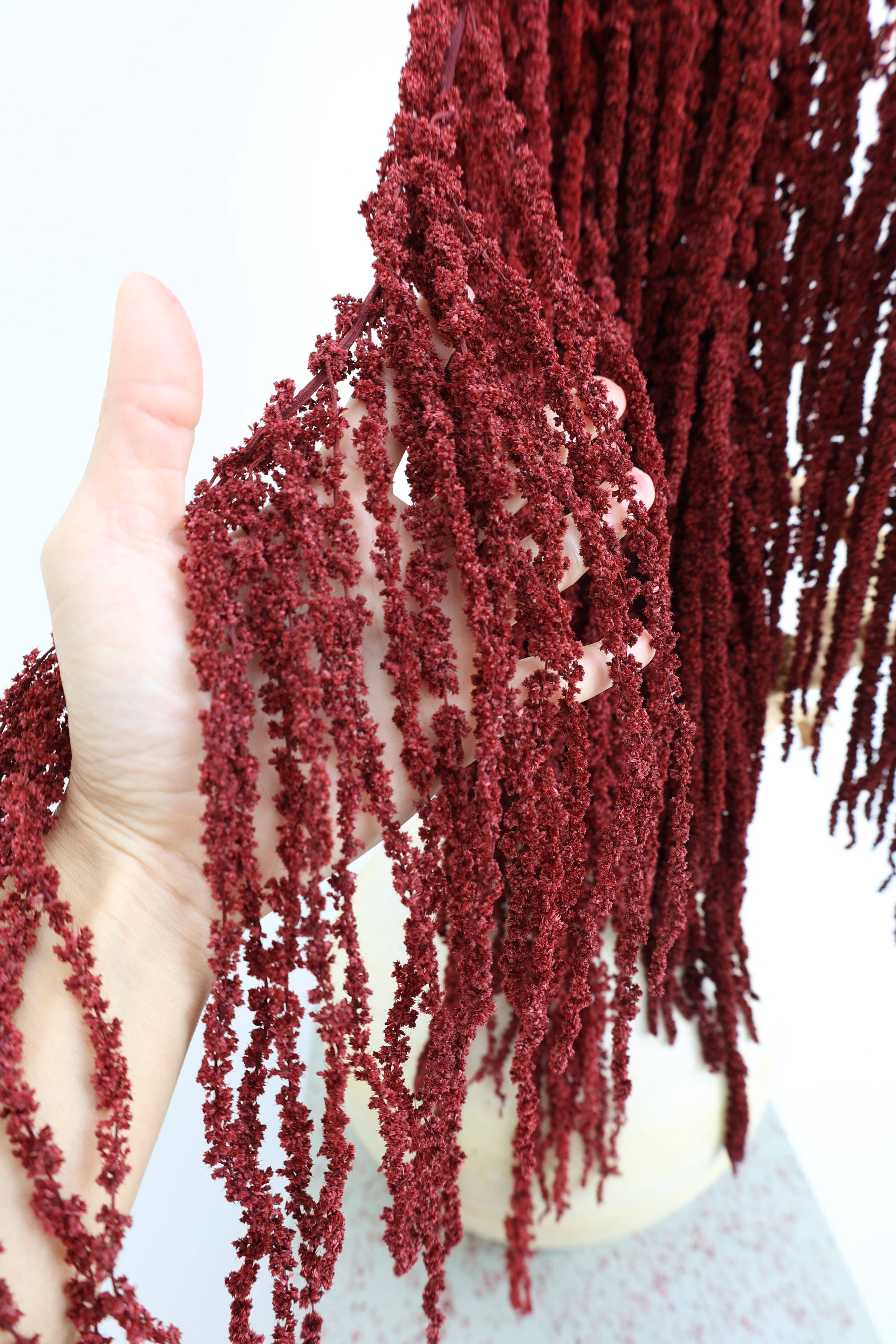 FlowerFantaSee - Vente Fleur séchée/pressée - Amarante préservée rouge profond7