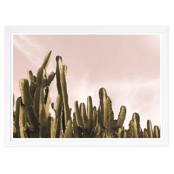 Arte emoldurada de cacto paisagem de sonho de 19 “x 13". por atacado de The Oliver Gal Artist