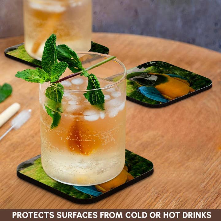 3dRose - Wholesale Coasters - 3dRose, Closeup Macaw, Coaster9